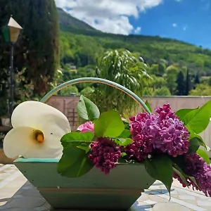 La Cigale Gourdon (Alpes-Maritimes)